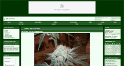 Desktop Screenshot of 420genetics.com
